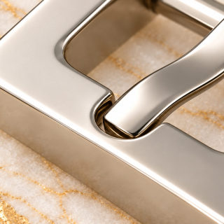 HEFT 368 Stainless Steel Pin Buckle