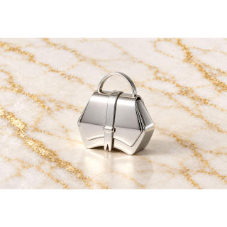HEFT 1010 3D Metal Printing Decorations
