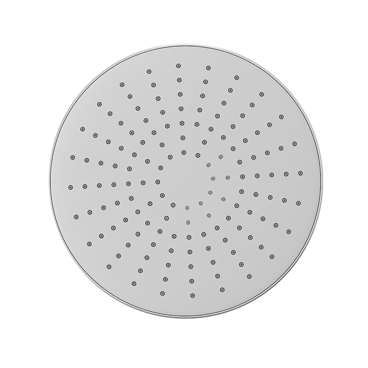 10 inch verchroomde regendouchekop met enkele functie