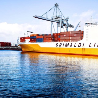 Pet Transport From China To Canada