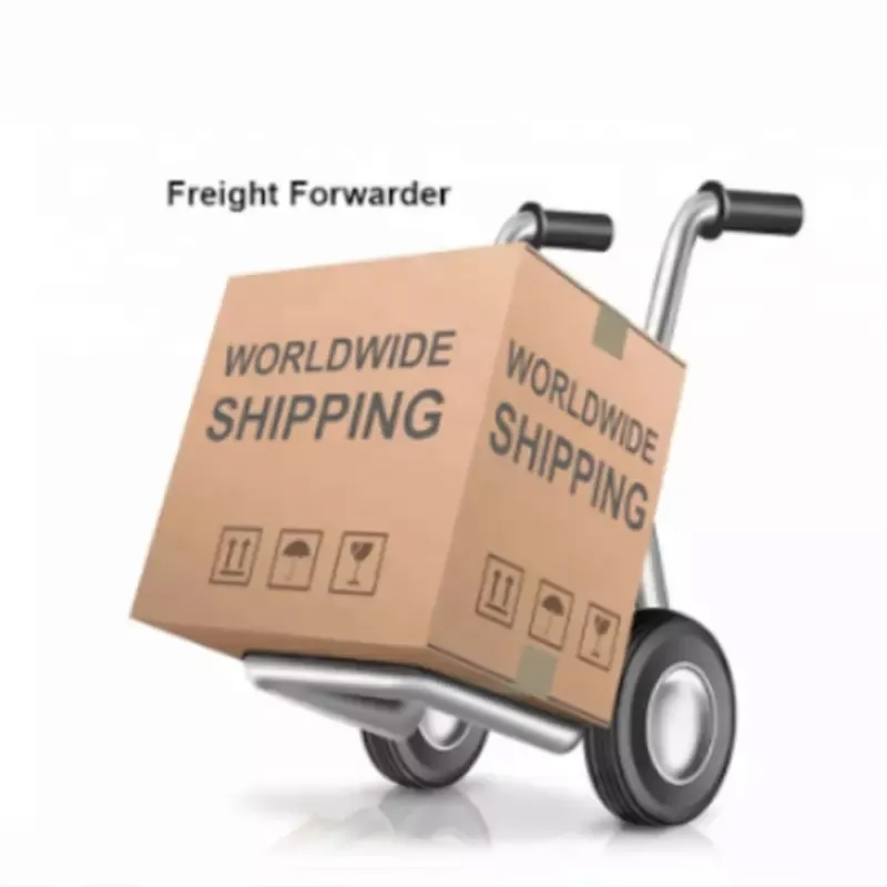 air freight ddp