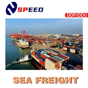 Transport morski od drzwi do drzwi do Meksyku od spedytora z Chin