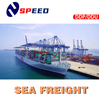 Professionele zeevrachtexpediteur China Shipping Company naar de hele wereld