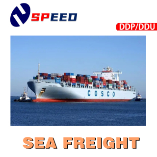 Professionele zeevrachtexpediteur China Shipping Company naar de hele wereld