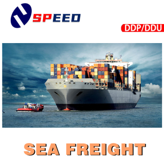 Professionele zeevrachtexpediteur China Shipping Company naar de hele wereld