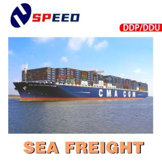 Professionele zeevrachtexpediteur China Shipping Company naar de hele wereld