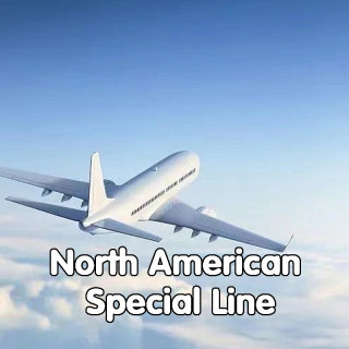 fracht lotniczy z Shenzhen do USA agent spedycyjny ddp service china do USA express