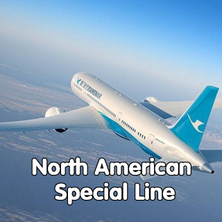 fracht lotniczy z Shenzhen do USA agent spedycyjny ddp service china do USA express