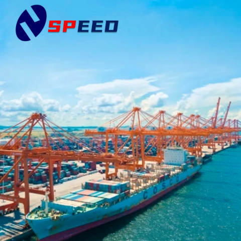 중국에서 캐나다로의 빠른 해상 운송 운송업체 해상 화물 운송