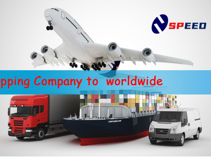 Speed International Logistics Co., Ltd