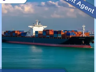 ¿Pueden los puertos de tránsito marítimo internacional estar libres de impuestos?
