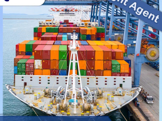 Dlaczego wielkość międzynarodowych kontenerów transportowych z Chin do Stanów Zjednoczonych tak bardzo spadła?