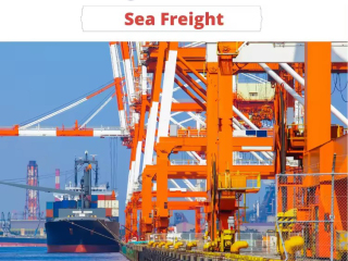 Wolumen przewozów w porcie Los Angeles znacząco wzrósł w styczniu 2024 r