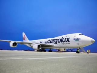 Ta linia lotnicza zakazała używania jednorazowych e-papierosów