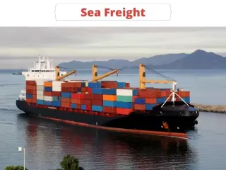 Apakah perbezaan antara pengangkutan laut antarabangsa TELEX RELEASED dan OCEAN BIL?