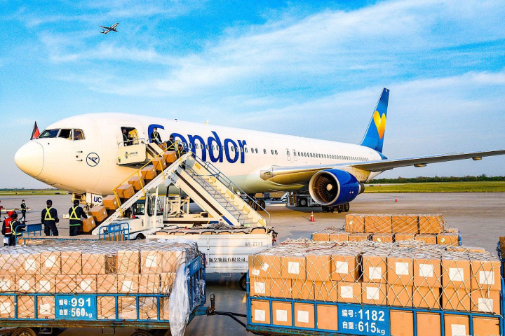 Czym jest linia dedykowana logistyce międzynarodowej?