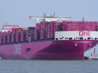 International shipping company ONE is making efforts on the India-Gulf route