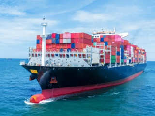 From Off-season to Peak Season: Behind the Annual Growth of Auckland Port's Exports