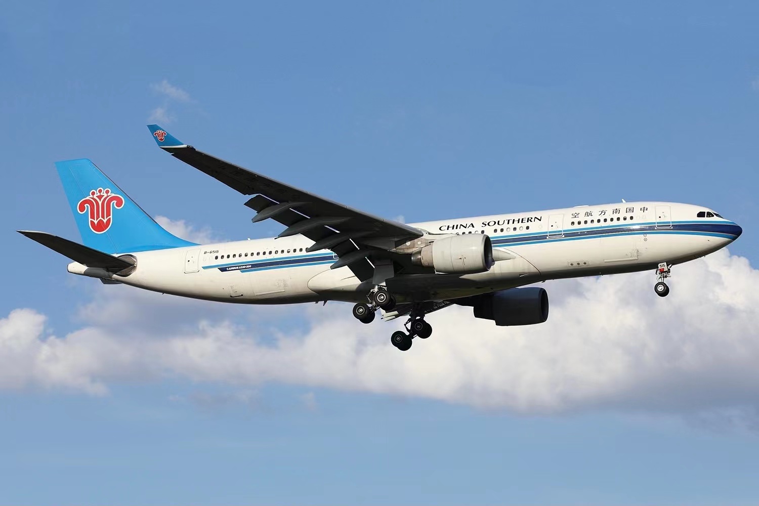 Southern Airlines' Southern Airlines'