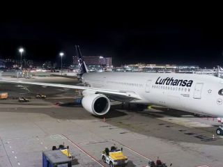What are the reasons for delays in international air freight?