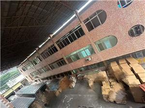 China to Panama FCL Shipping