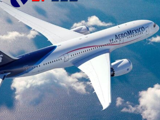 What are the reasons for delays and delays in international air freight?