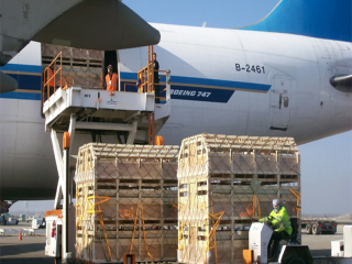 Errors in the classification of air freight items, and delays in customs clearance at the airport can lead to what serious consequences?