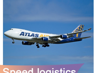 Who bears the international air freight charges?