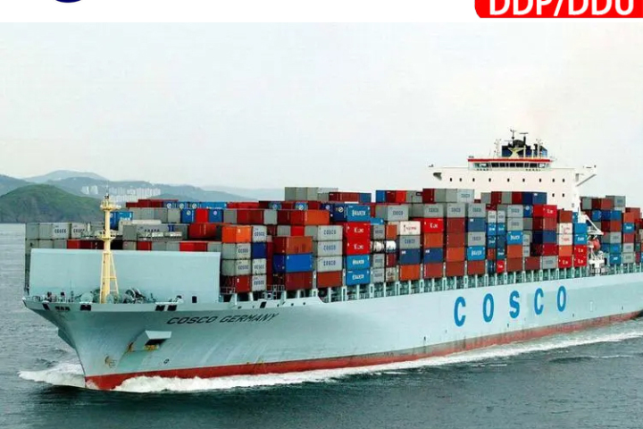 2026 Heavy Cargo Sea Freight Guide: Top 5 Trusted Carriers