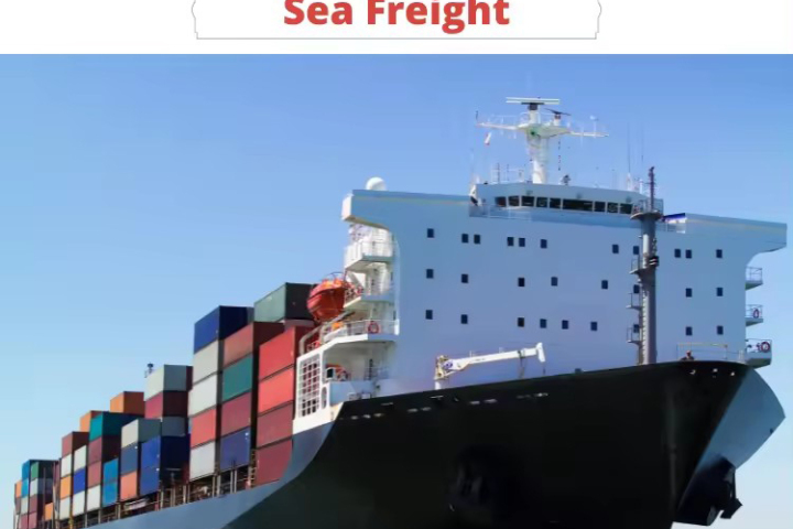 2026 Top 8 China to Canada Ocean Freight Forwarders Ranked
