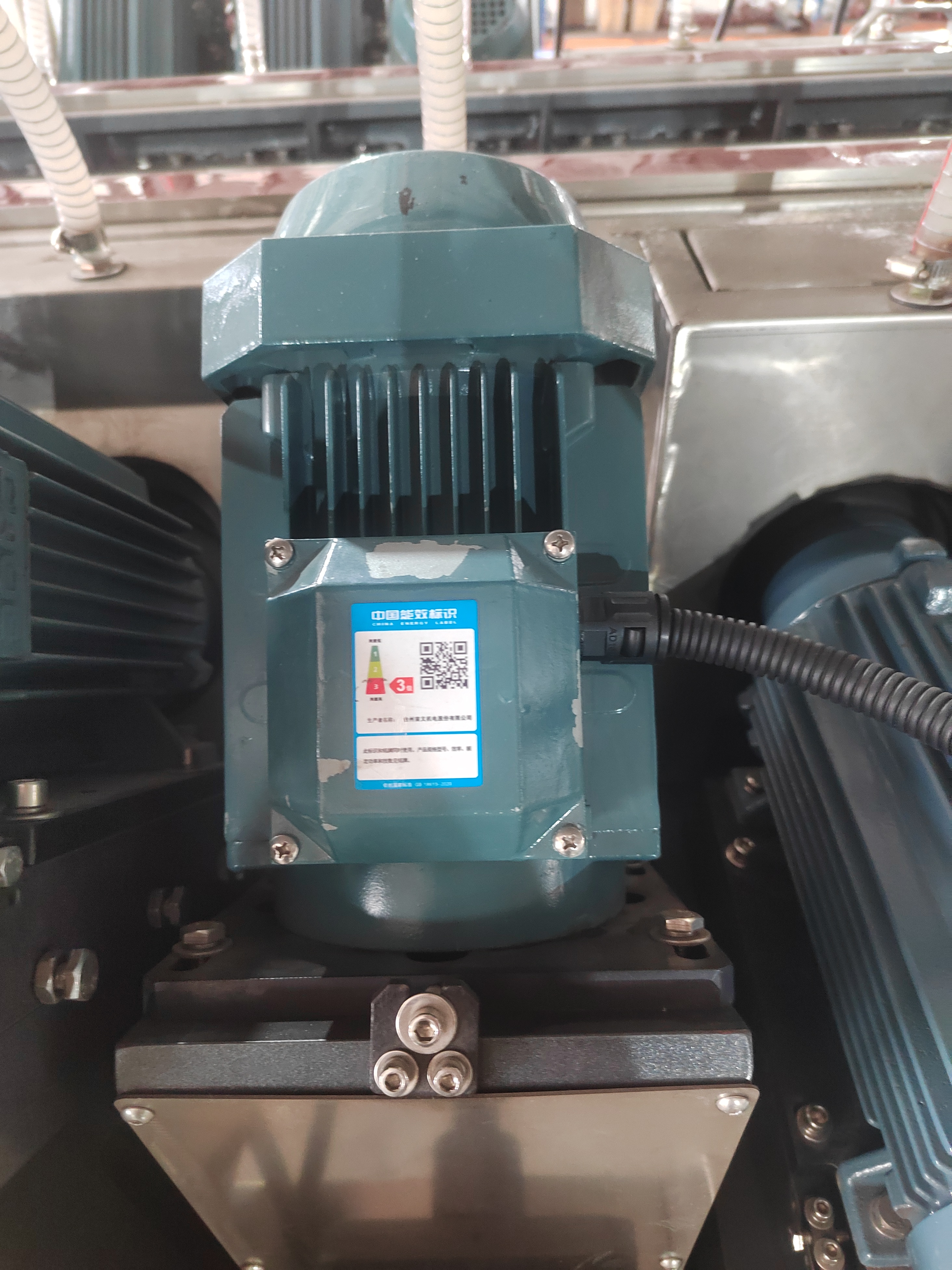 DSM2225 Glass Double Edging Machine (22 Wheels, 2500 Mm)