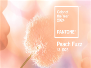 Pantone Released The 2024 Popular Color: Soft Peach