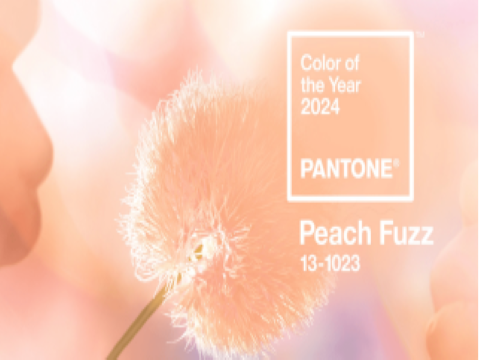 2024 trend colour of the year