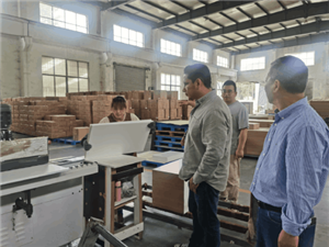 International Customers Visit Our Bathroom Vanity Factory