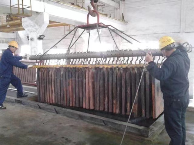 Electrolytic cathode copper plate