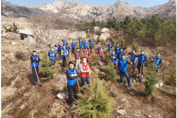 Зелени инициативи: Участие на компанията във Фестива за засаждане на дървета