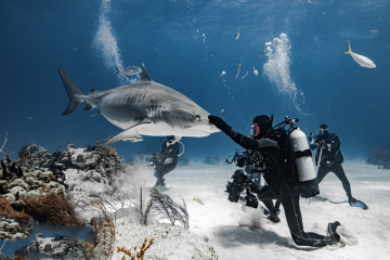 Panduan Membeli Tangki Penyelam Skuba
