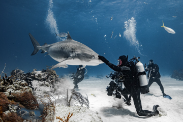 Как да изберете различни бутилки за гмуркане за различни сценарии на гмуркане