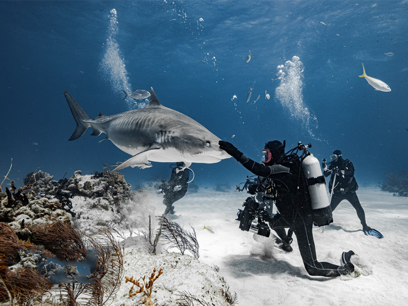 diving oxygen bottle