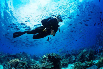 ما هو الخزان الذي يستخدمه الغواصون؟ لنبدأ في الغوص