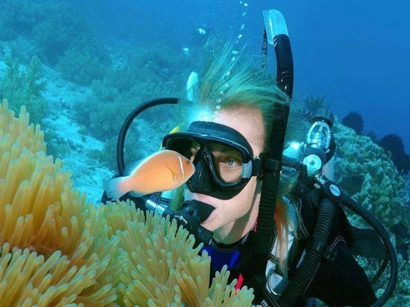 china diver tank
