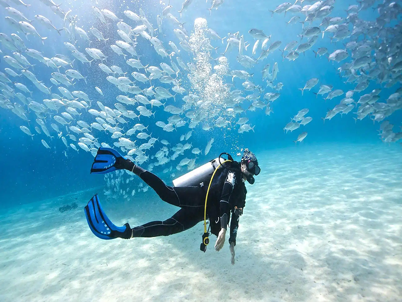 china diving bottle