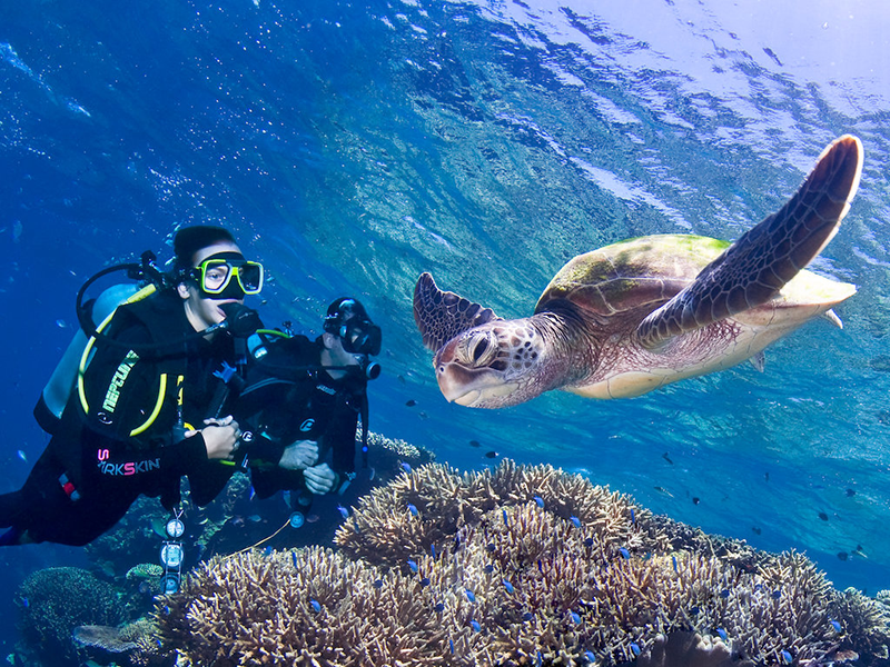 china scuba air tank