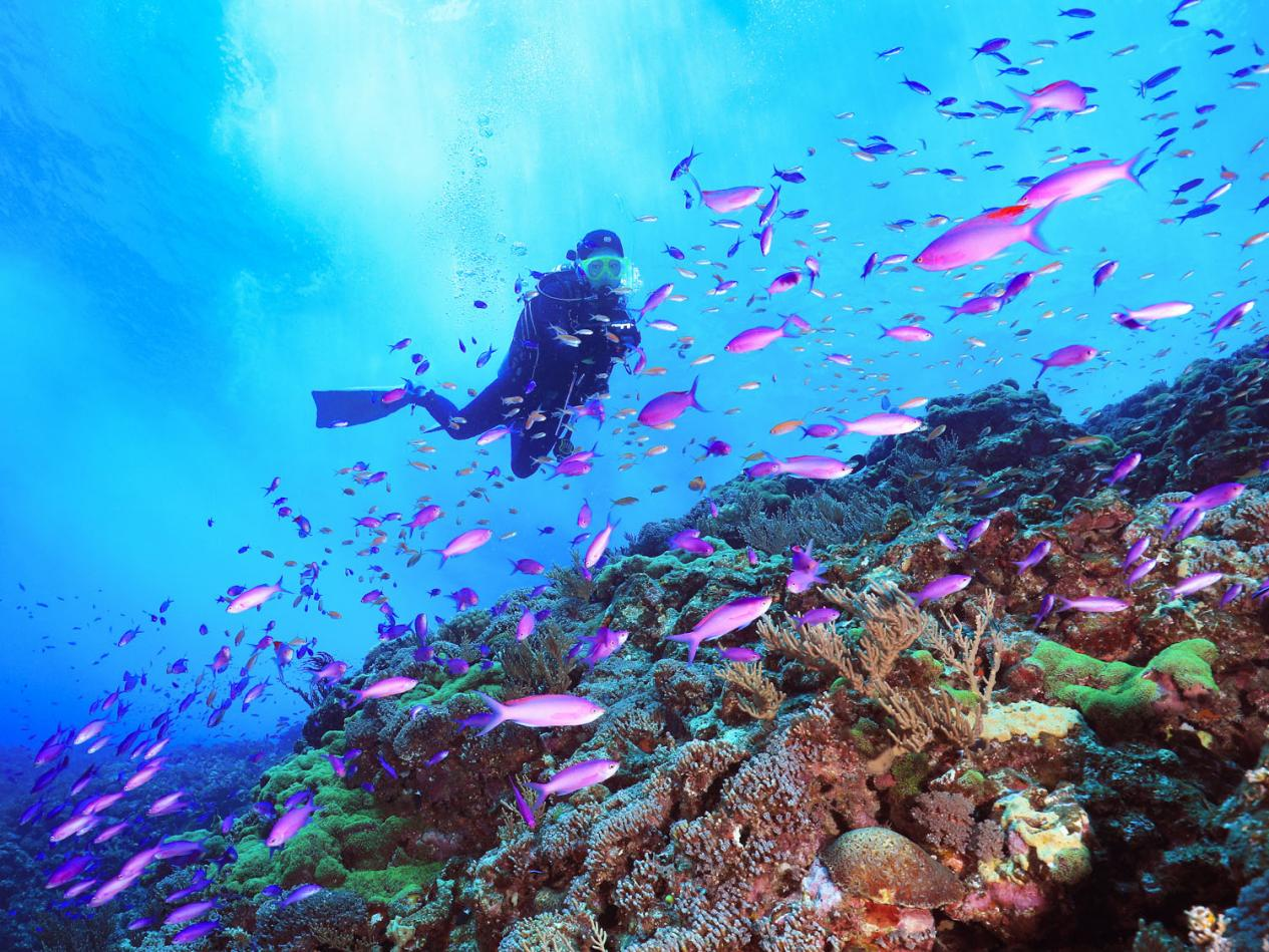 China scuba bottle