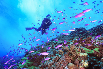 Which Of The 11 Basic Scuba Diving Equipment Is Most Important?