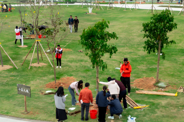 Sekop Ditambah Bibit Pohon Sama Dengan Oksigen