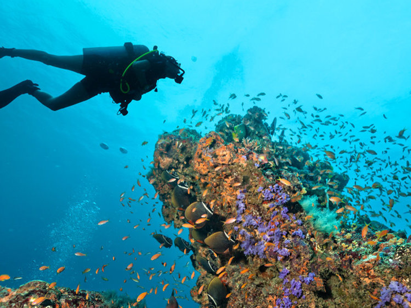 china diver tank