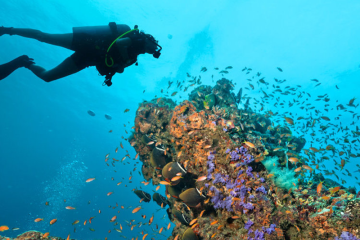 Какой аппарат используется для погружения?