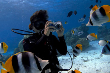 How Deep Can Human Dive With A Diving Tank?