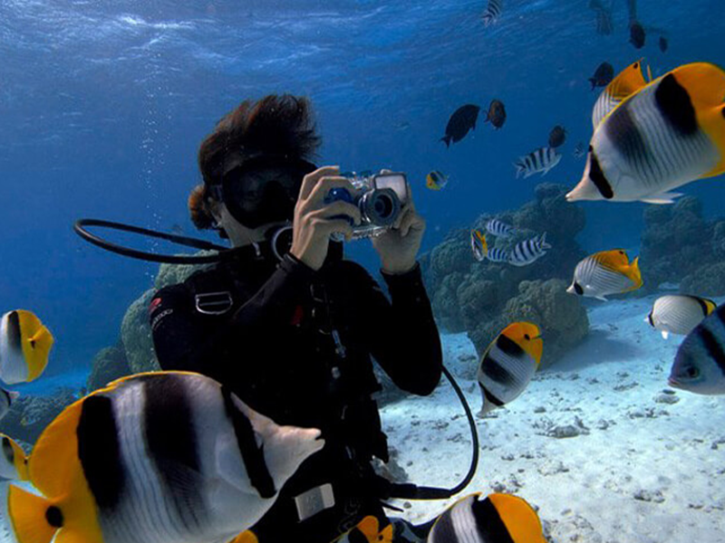 china scuba bottle
